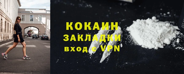 шишки Армянск