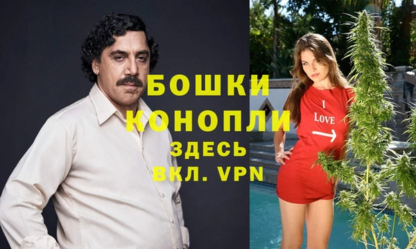шишки Армянск