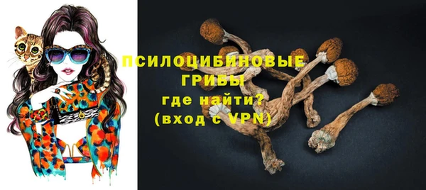 дурь Арсеньев