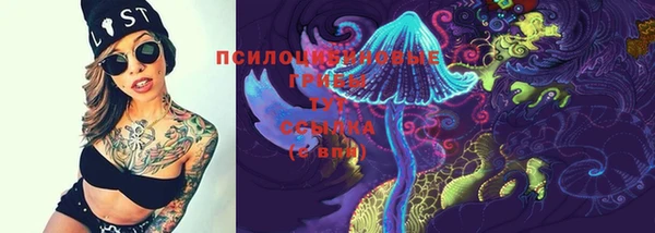 дурь Арсеньев