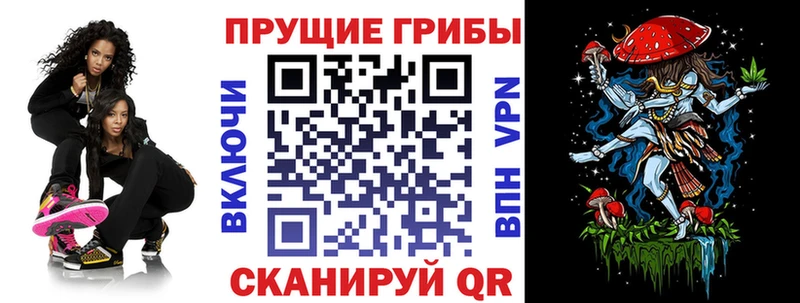 OMG зеркало  Каргат  Псилоцибиновые грибы Psilocybe 